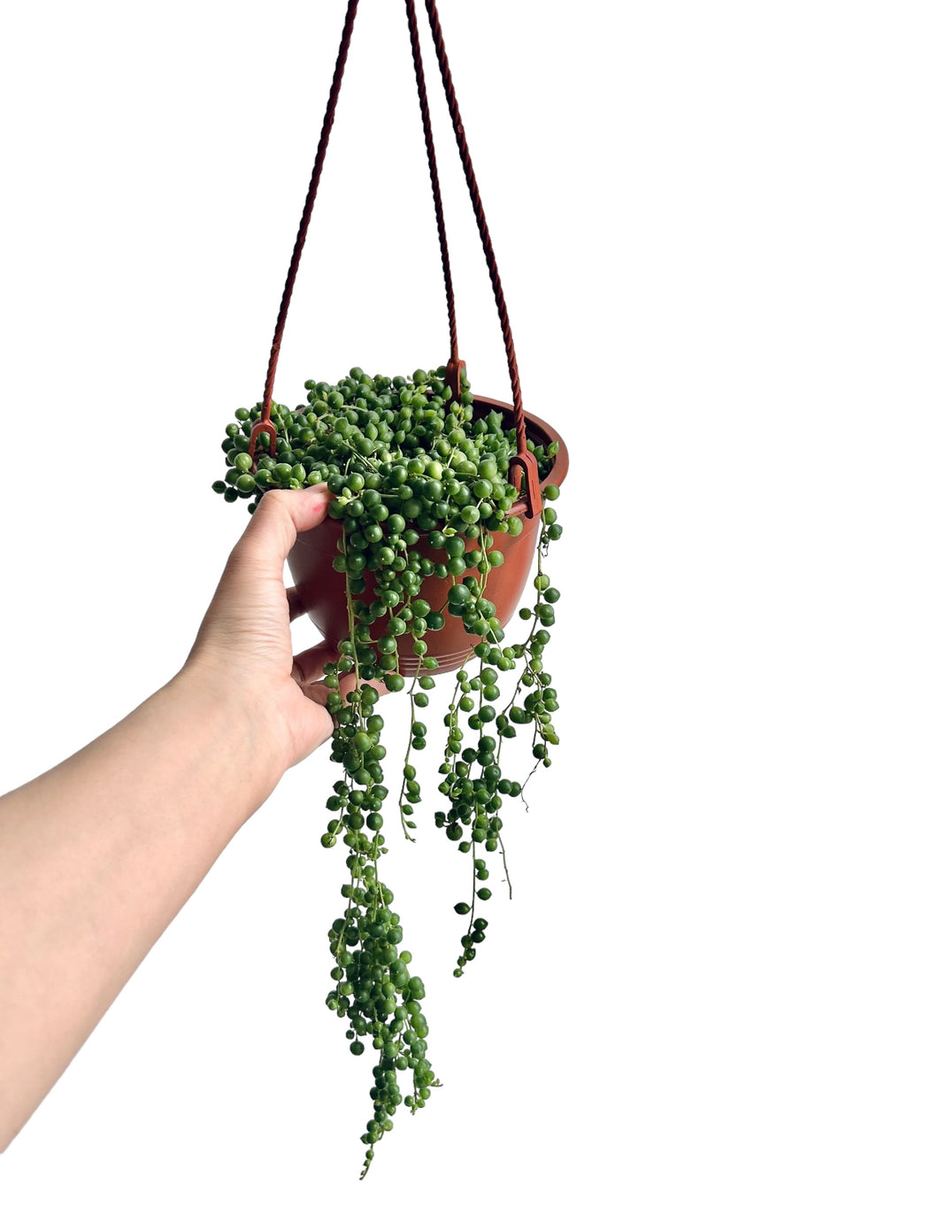 String of pearls